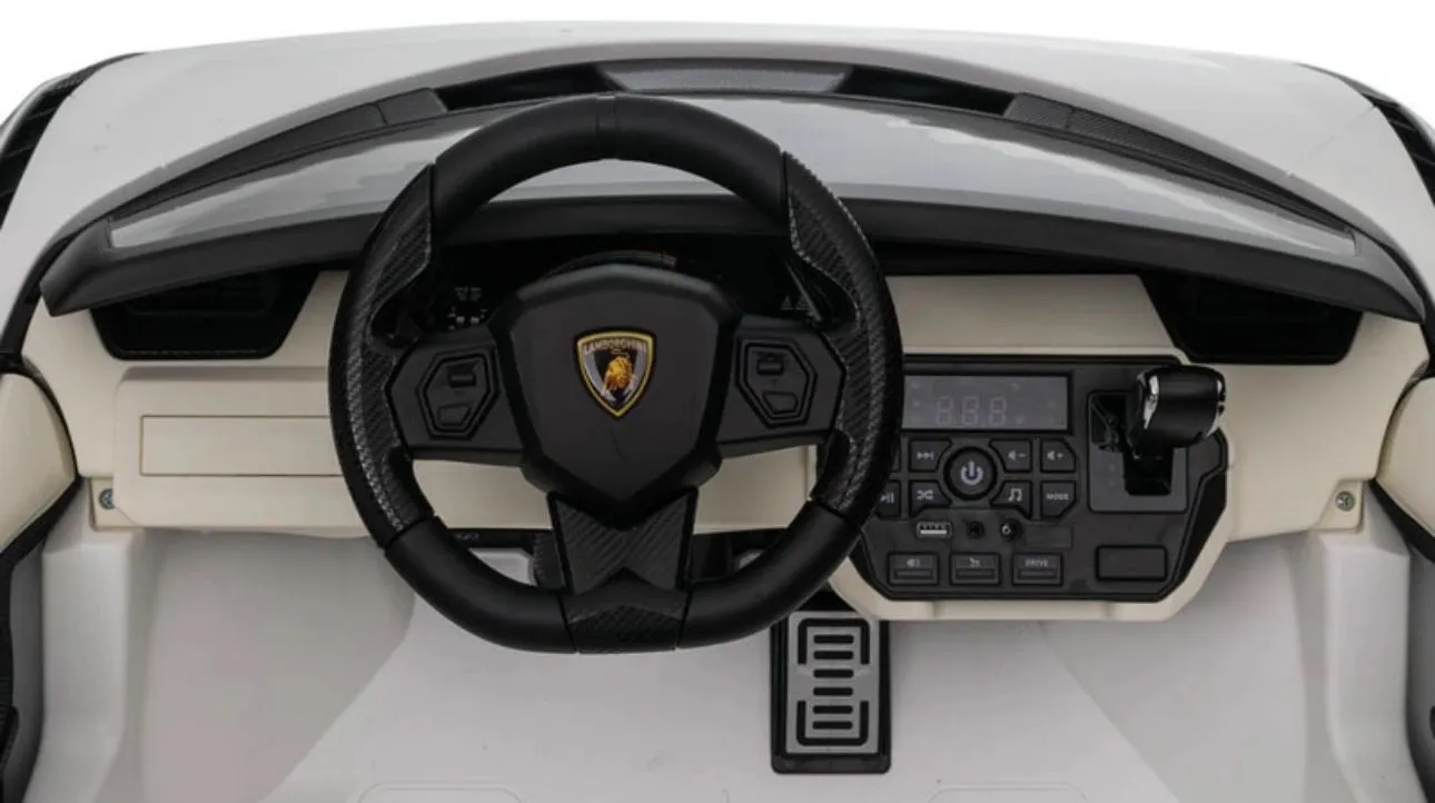 2025 Licensed 24V Sian 2 Seater 24V Kids Ride On Car Upgraded | Leather Seats | Rubber Tires | 4x4 | Remote