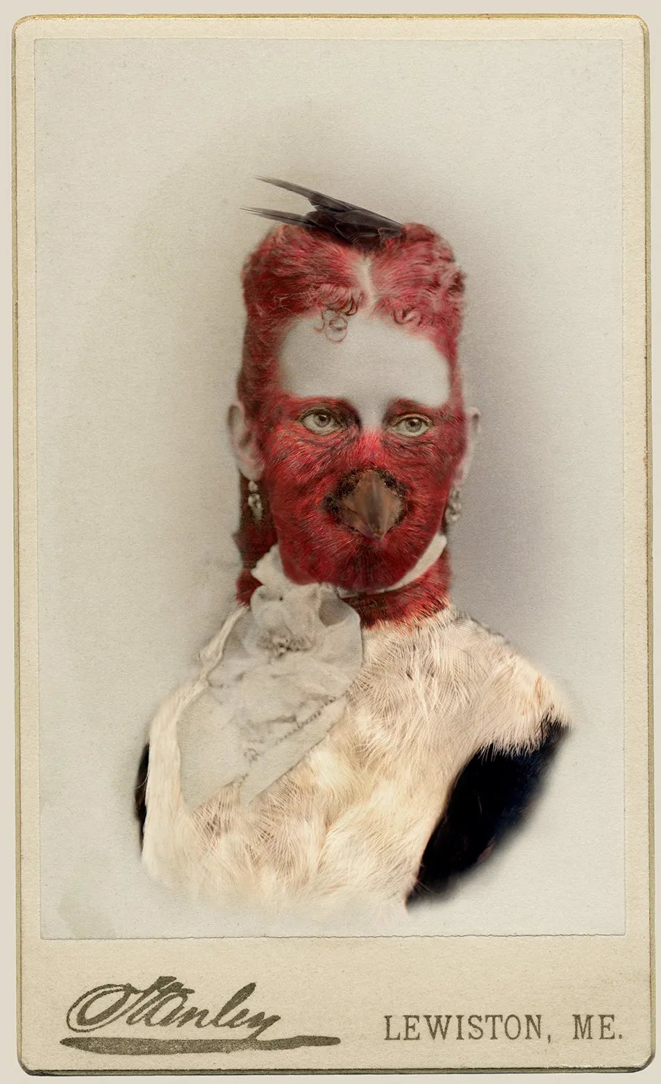 Aviary (Red-headed Woodpecker/endangered)