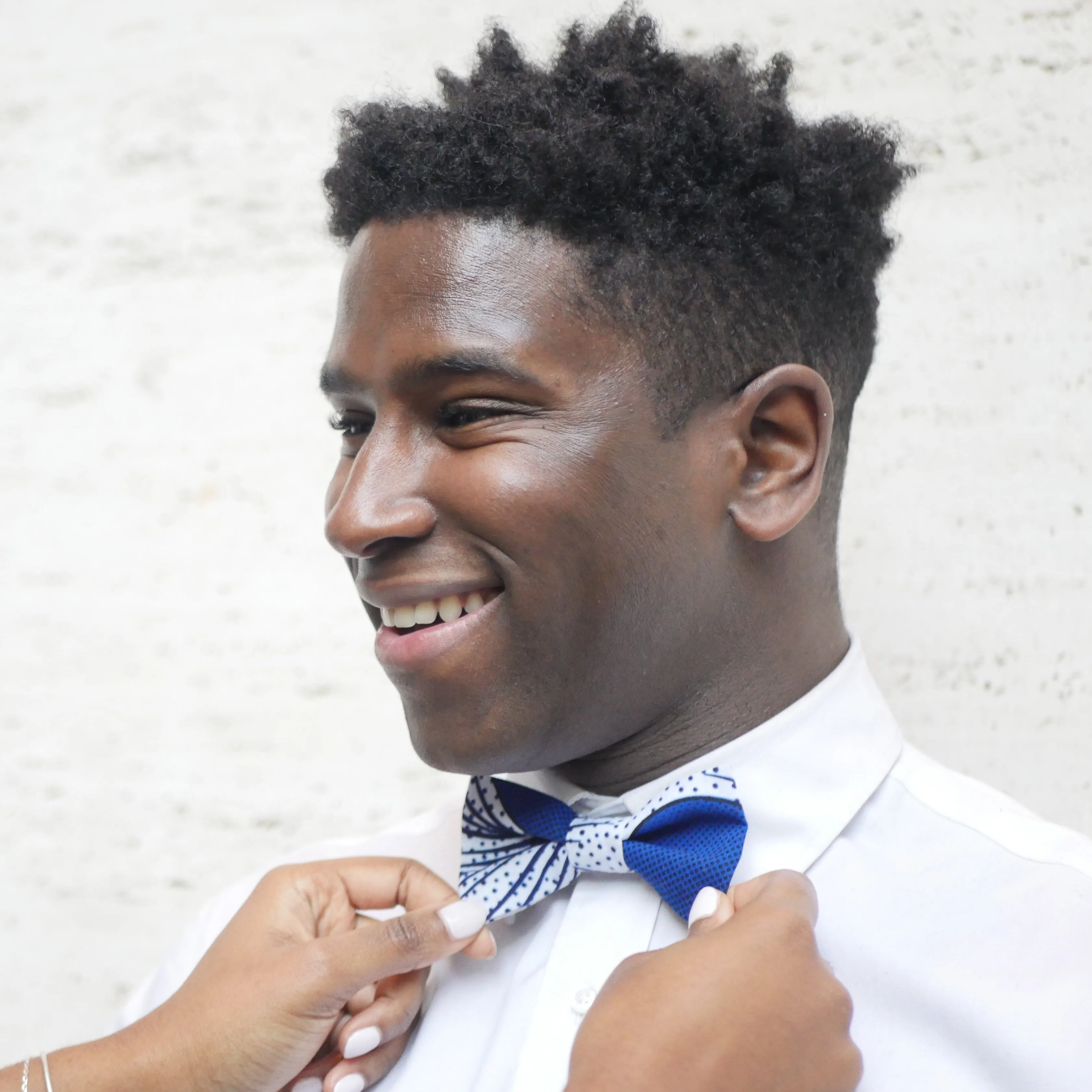Bow tie - Fafavi