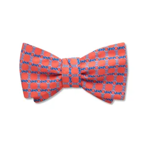 Brisson - Kids' Bow Ties