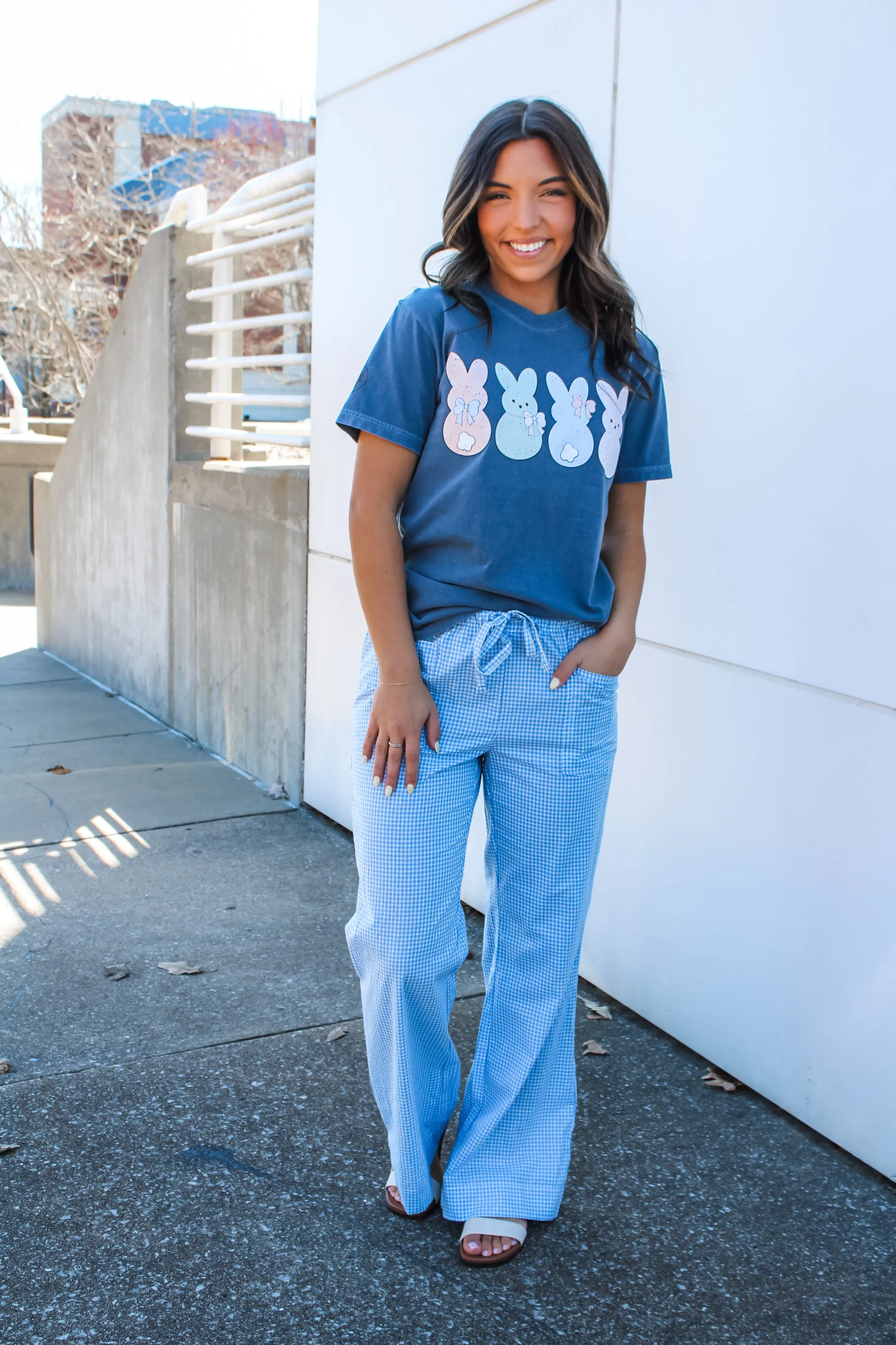 Dreamy Days Gingham Pants • Blue