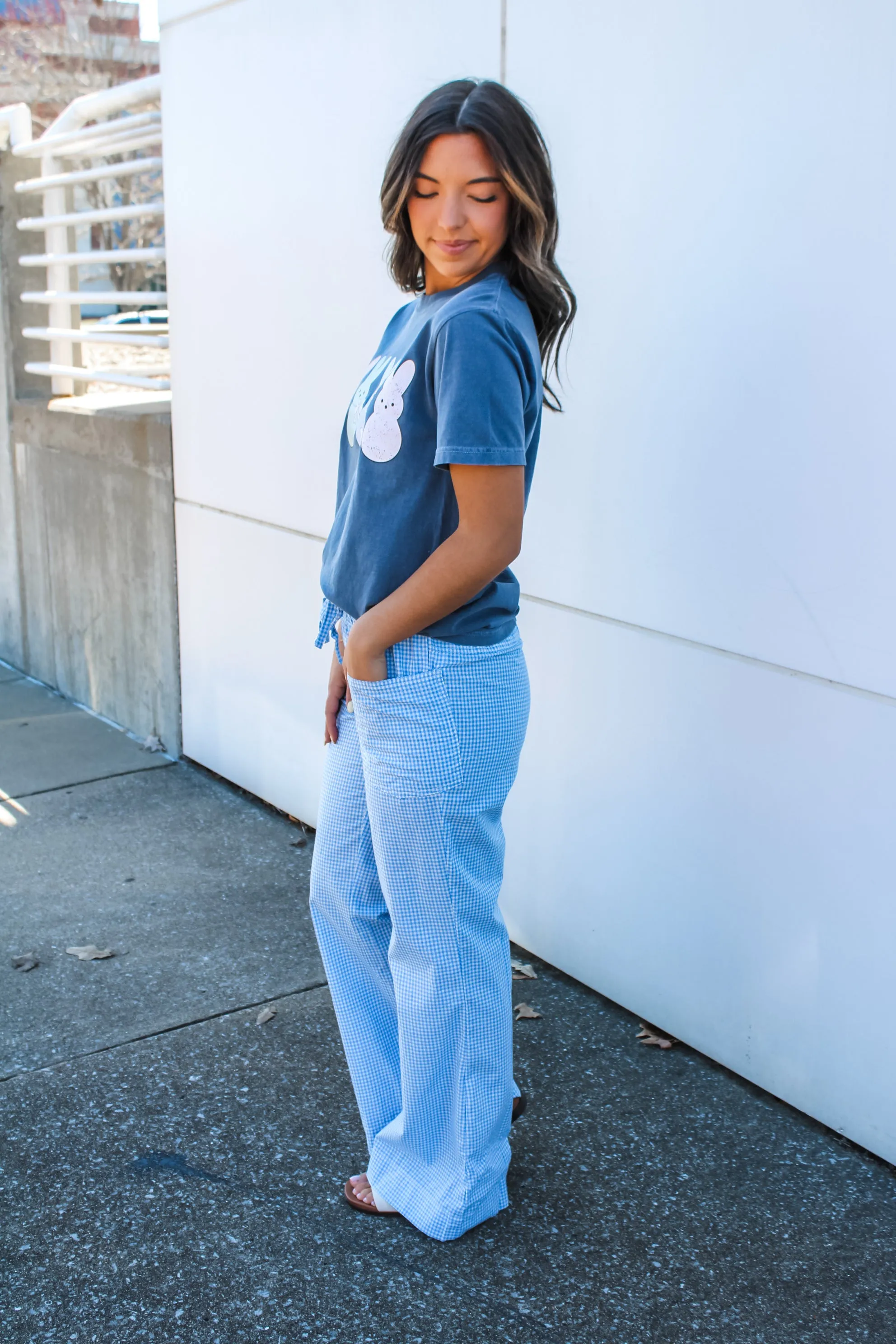 Dreamy Days Gingham Pants • Blue