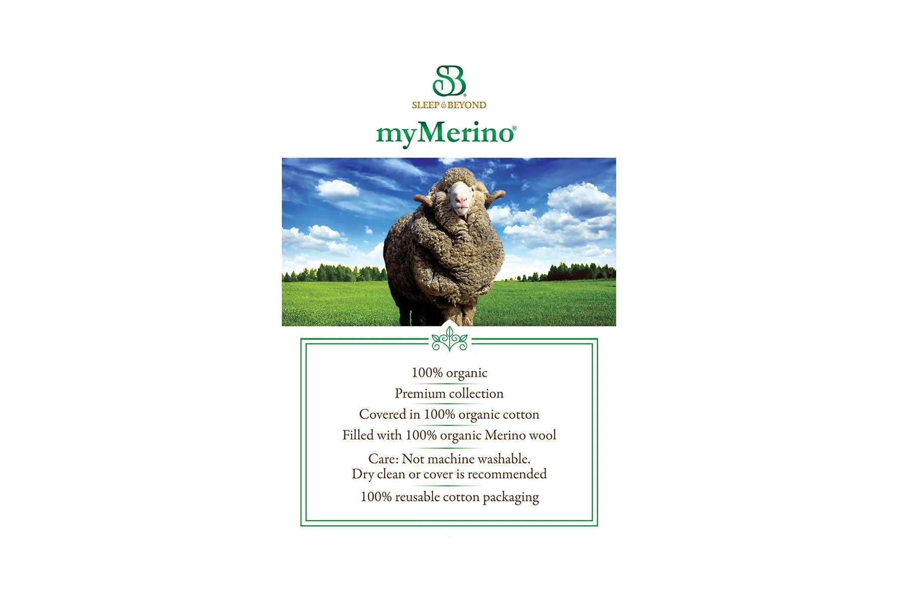 myMerino® Comforter by Sleep & Beyond