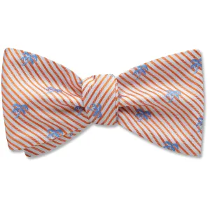 Palm Beach - bow ties