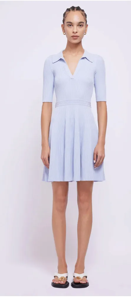 Patricia Mini Dress