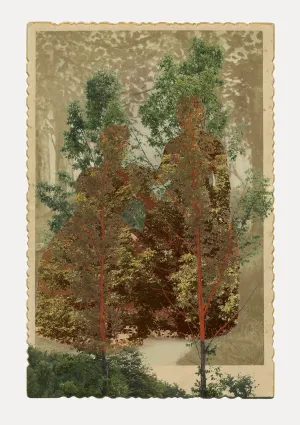 Sister Elms
