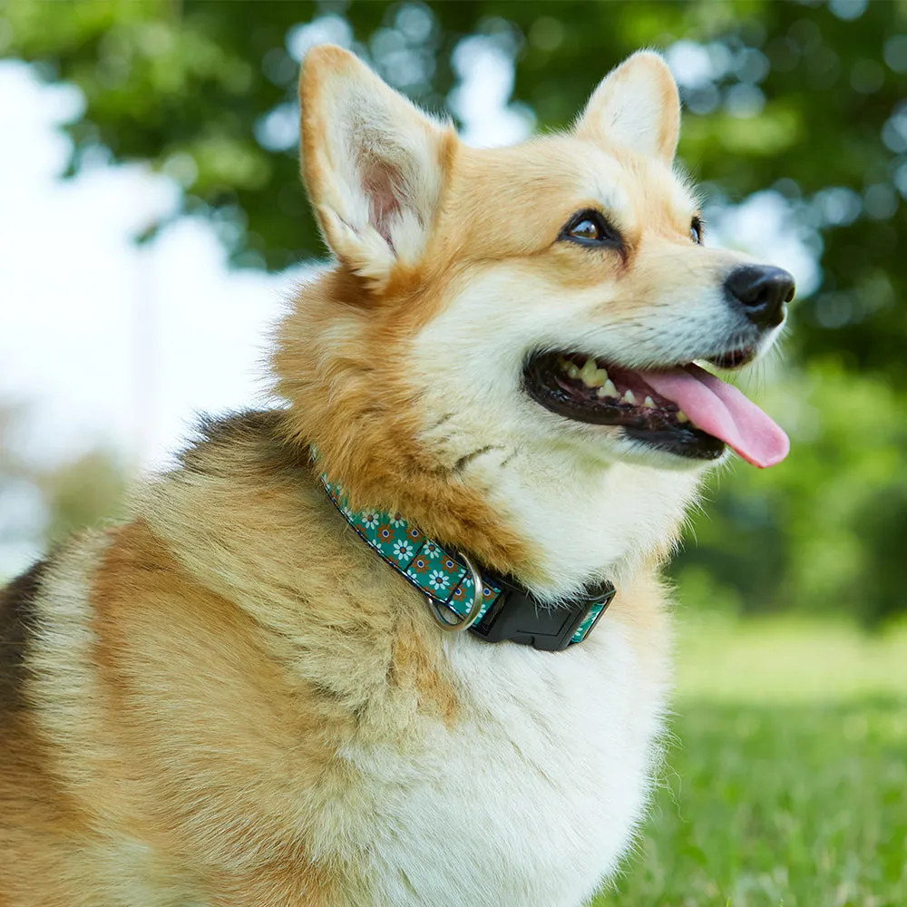 Vermont Flannel Liberty Street - Dog Collar
