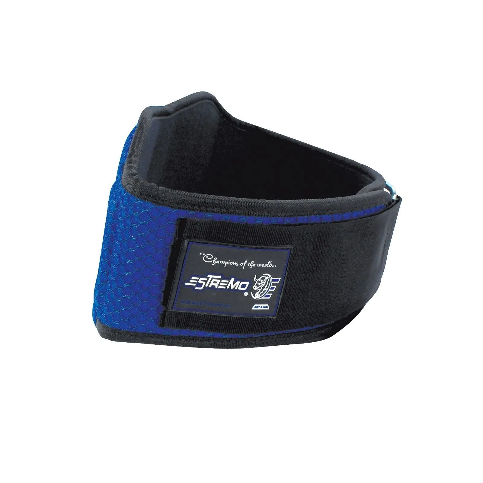 Weightlifting Belt 8" Neoprene - Blue