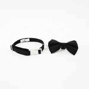 Wyatt Dog Bow Tie Collar